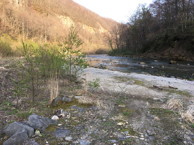 一迫川（川原）