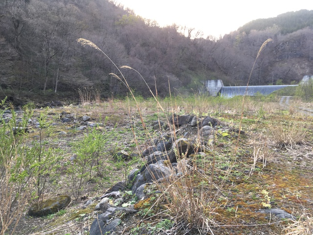 一迫川（川原）