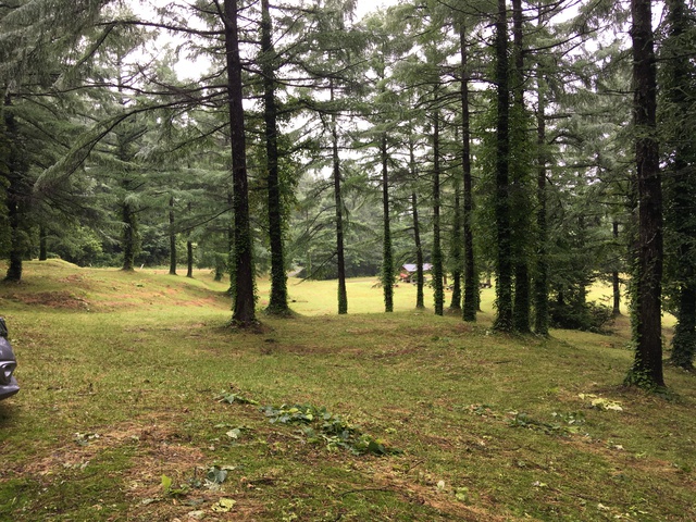 田代高原キャンプ場