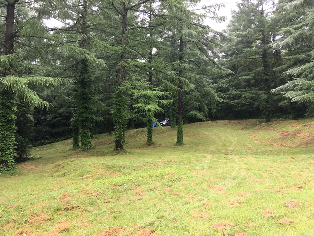 田代高原キャンプ場