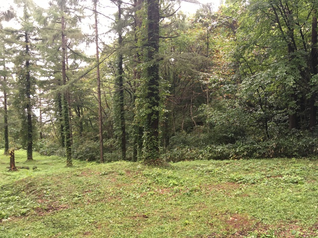 田代高原キャンプ場