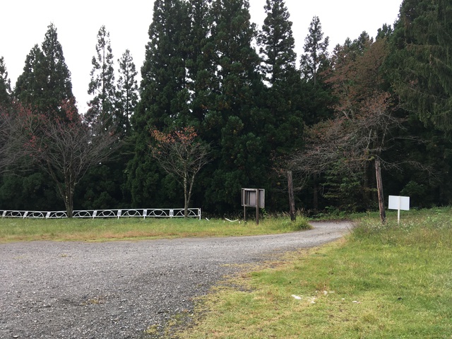 上の台？葉山？どちらのキャンプ場にする？