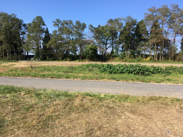 和賀川（北上）