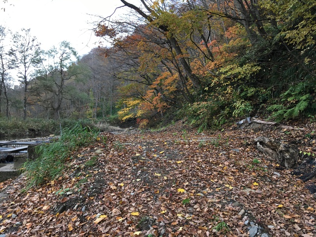 鳴瀬川上流