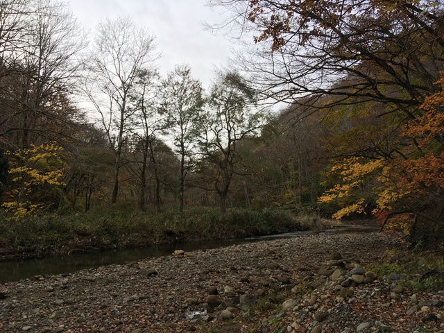 鳴瀬川上流