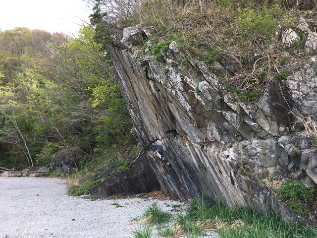 長面浦