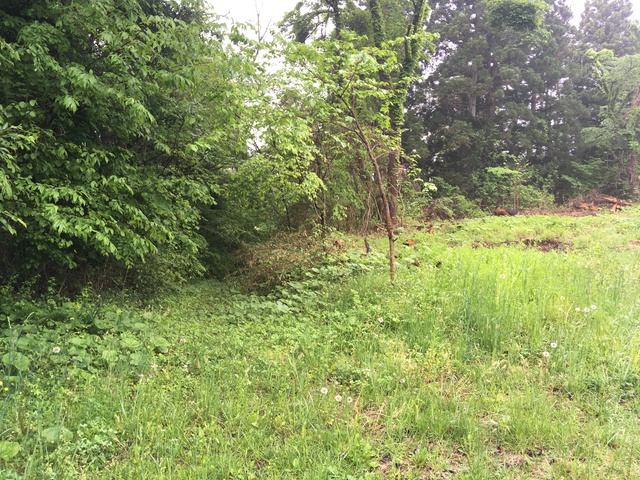 尾花ヶ森キャンプ場