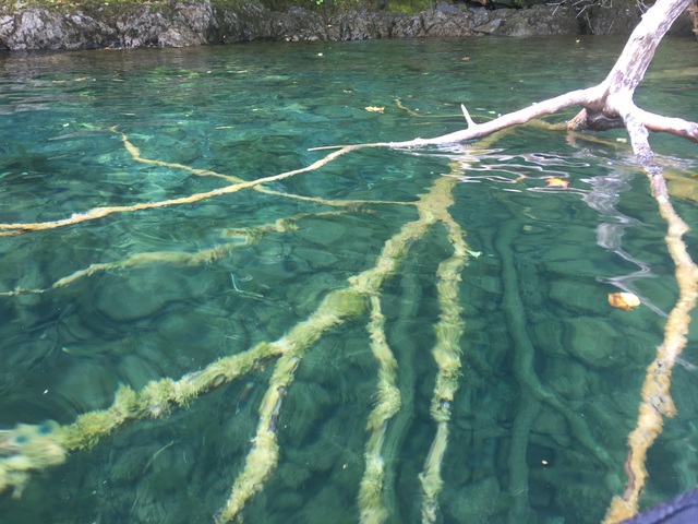十和田湖