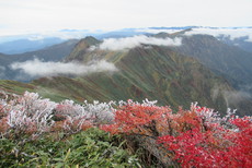 谷川岳で紅葉見物