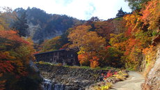 姥湯温泉 2016/10/21 00:01:25