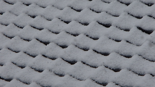 11月に雪が積もるとは・・・