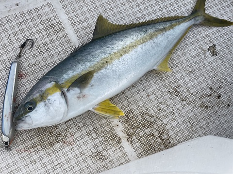 釣りはじめから