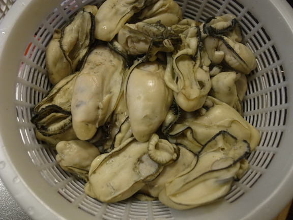 キャンプに行けない連休は・・・