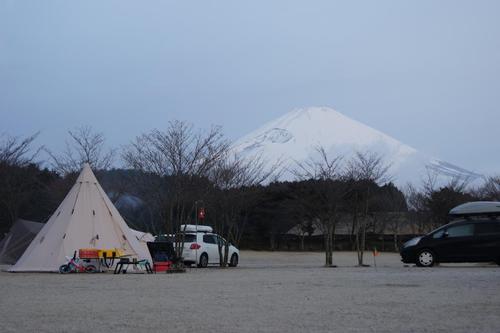 やまぼうし