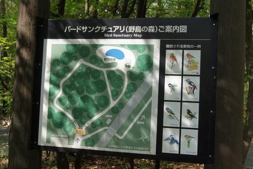 山の神様がくれた水