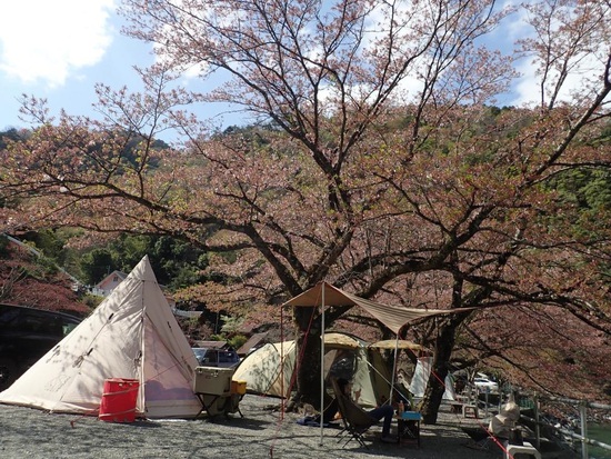 いつもいるあの家族。(お互い様) いつもいるあの家族。(お互い様)