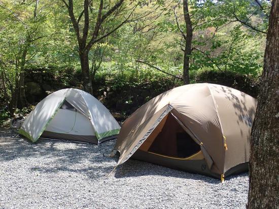 CAMP場という名の楽園