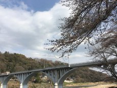 まだ早かった花見デイキャンプ