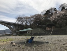 花見デイキャンプ