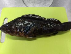 昆布締め