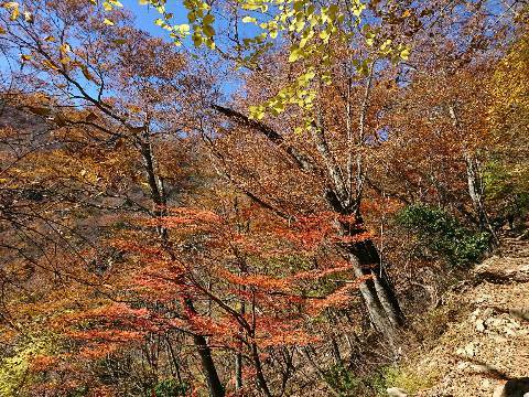 七ツ石小屋テント泊で雲取山　2017.11.（月）~11.7（火）