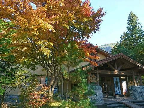 七ツ石小屋テント泊で雲取山　2017.11.（月）~11.7（火）