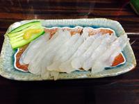 2016/06/04～5糸魚川サーフ釣行
