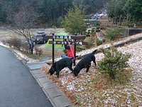 『十二坊温泉オートキャンプ場ゆらら』って　こんなとこ！ 2015/02/25 11:20:02