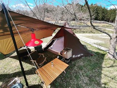 開花前の桜の下でソロキャンプ