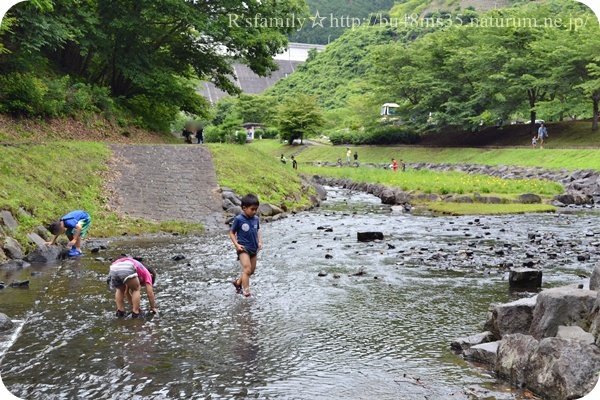 雨を覚悟の父子キャンプｉｎ松田川ダムオートキャンプ場～その１～