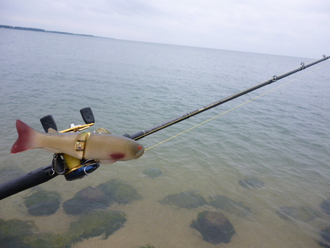 琵琶湖釣行4日目