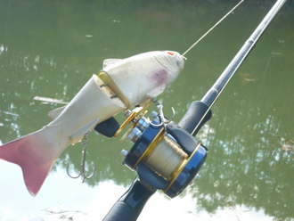 じもとで釣り