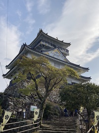 久しぶりの金華山登山でリス遭遇