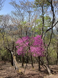 鈴鹿７ﾏｳﾝﾃﾝ その1＿鎌ケ岳