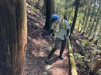 鈴鹿７ﾏｳﾝﾃﾝ その２＿藤原岳