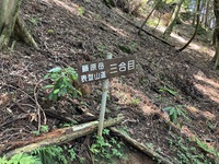 鈴鹿７ﾏｳﾝﾃﾝ その２＿藤原岳