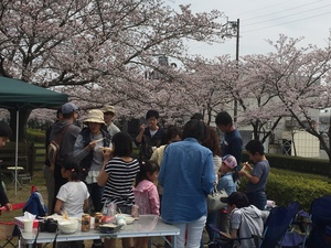 お花見ＢＢＱ２０１６