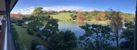 生田神社と万博記念公園