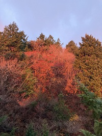 鈴鹿セブンマウンテン　御在所岳