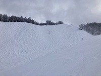 新雪とジンギスカンと温泉と！