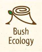 Bush-Ecology