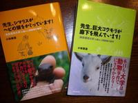 ヒトはなぜキャンプに惹かれるのか？ 2009/01/28 21:58:05