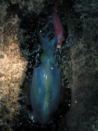 ２度目の海・・・ 2010/09/08 13:12:11