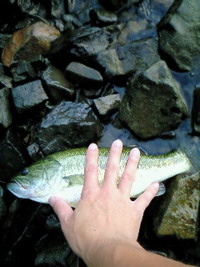 バス君・・・ 2010/09/14 10:09:04