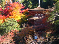 紅葉狩り ～ 当尾・浄瑠璃寺 ～ 2012/11/27 23:52:49