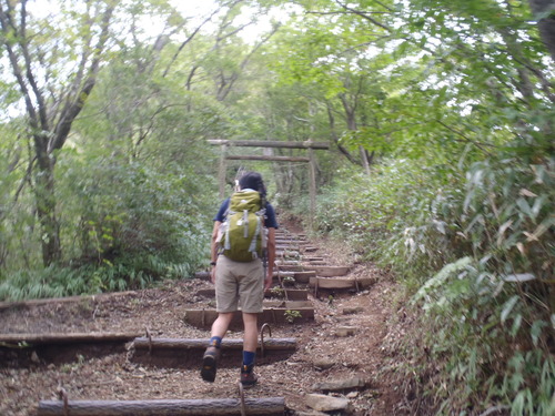 日帰り登山～金時山