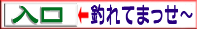 にほんブログ村 釣りブログ バスフィッシングへ