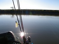 小春日和な釣り