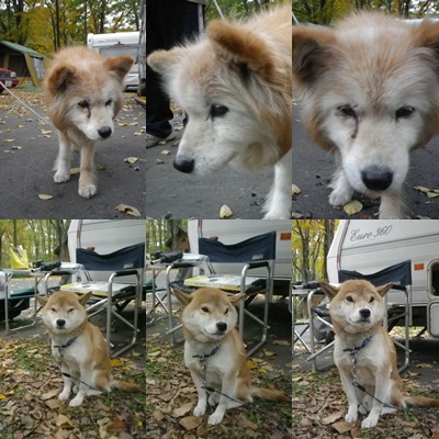 古山　Last WeekEnd　2012