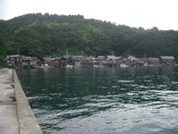 夏の思い出・・・とらきち庵２００８！